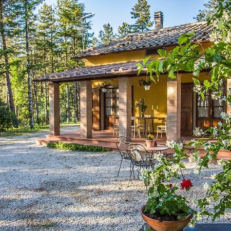 Villa Il Ginepro à Cortone Extérieur photo